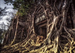 最接近異世界的地方——像幻想遊戲、動漫或輕小說一樣的現實場景 異世界に一番近い場所 - ファンタジー系ゲーム・アニメ・ラノベのような現実の景色 - YIZY 日台雜貨 | 港產文創 | 潮流玩具 | 日本代購