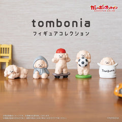 BANDAI Tombonia人偶收藏系列 全套扭蛋 5款 - YIZY 日台雜貨 | 港產文創 | 潮流玩具 | 日本代購