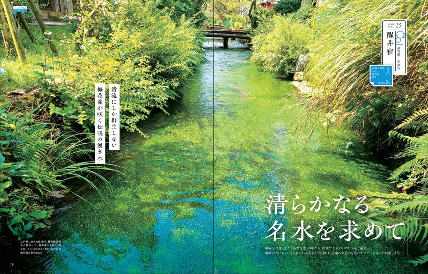 享受水邊的自然風光 - 關西版 自然を満喫水辺さんぽ 関西版 - YIZY 日台雜貨 | 港產文創 | 潮流玩具 | 日本代購